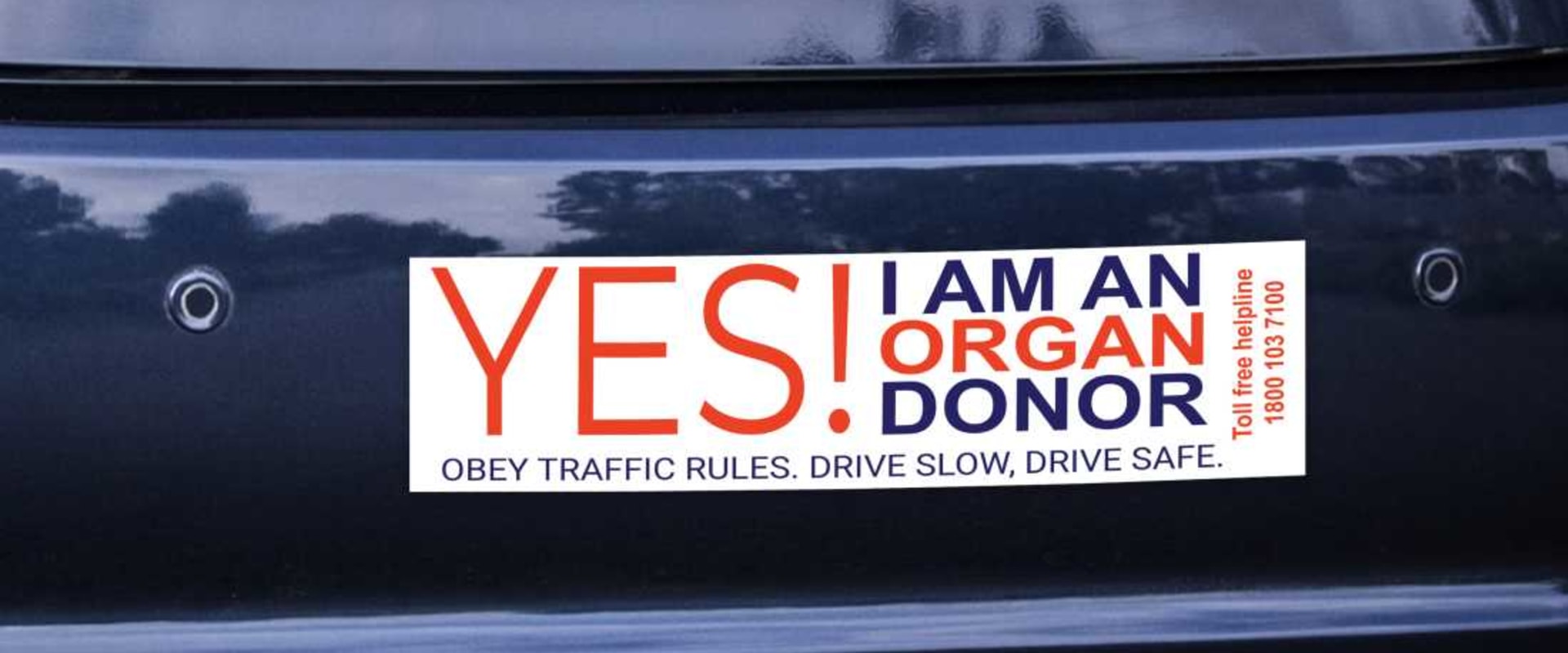 Everything You Need to Know About Buying Bumper Stickers Online