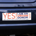 Everything You Need to Know About Buying Bumper Stickers Online
